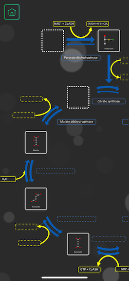 Capture d'écran du mode Construction de l'app